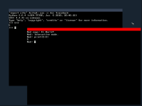 Ned in interactive mode and the python shell running in a terminal window each